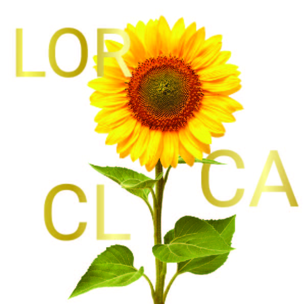 Lorca CL