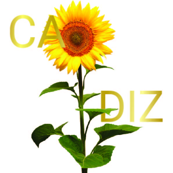 Cadiz